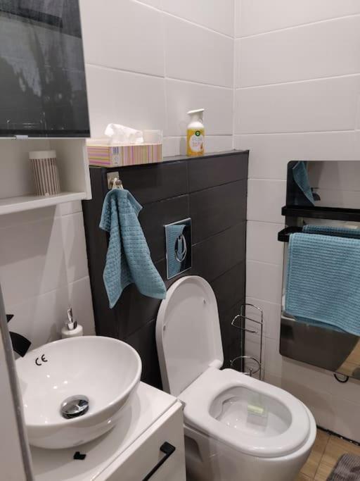 Charmant Studio Cocooning Vaulx-en-Velin Eksteriør billede